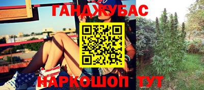 молекула духа Берёзовский